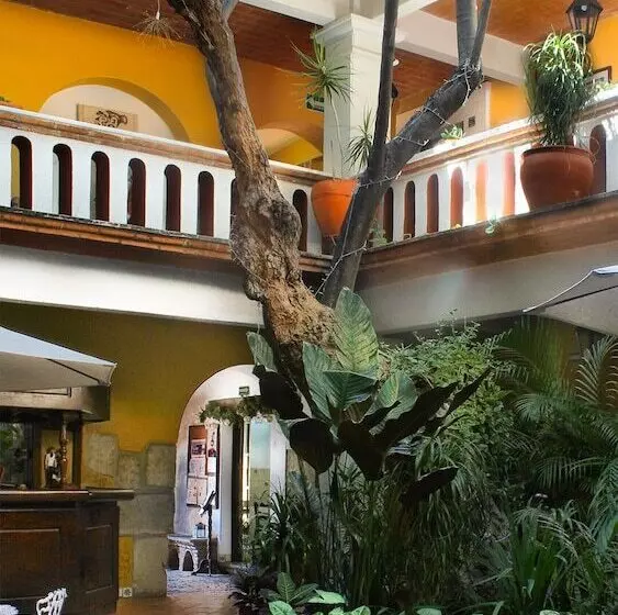 Отель Parador Del Dominico