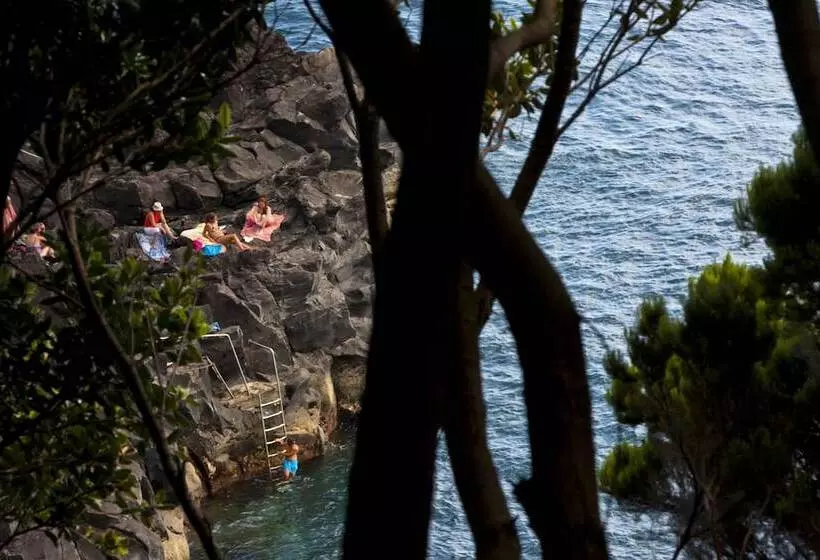 田舎風ホテル Aldeia Da Fonte