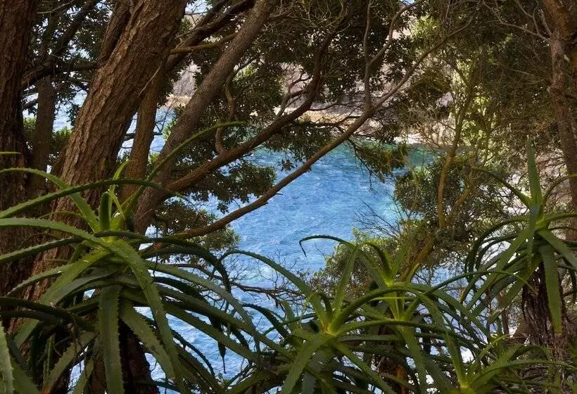 田舎風ホテル Aldeia Da Fonte