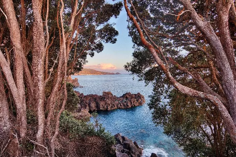 田舎風ホテル Aldeia Da Fonte