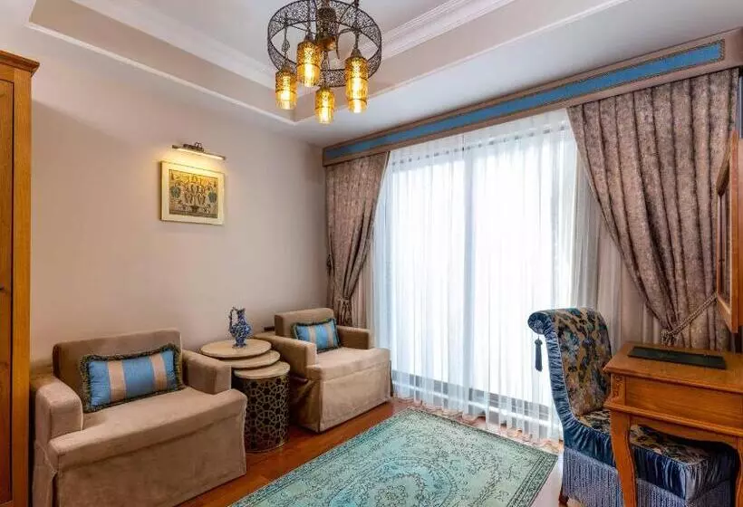 Hotelli Sultanhan  Special Category