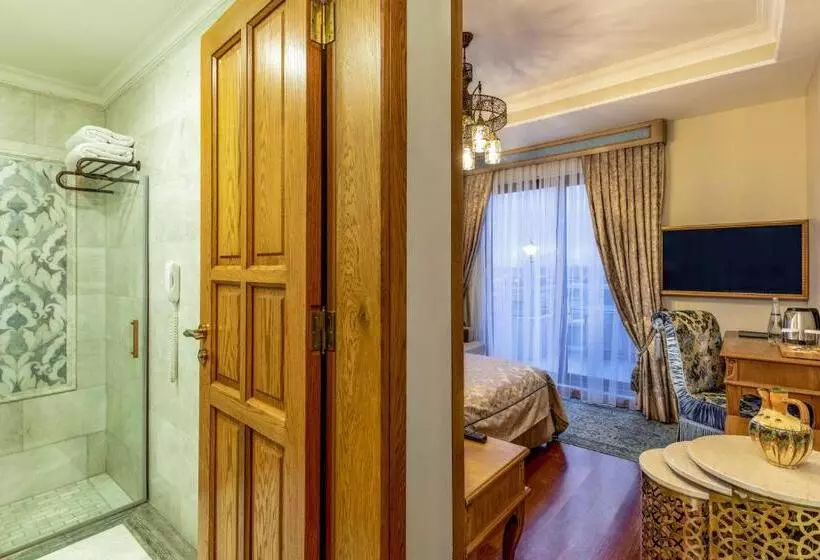 Hotelli Sultanhan  Special Category