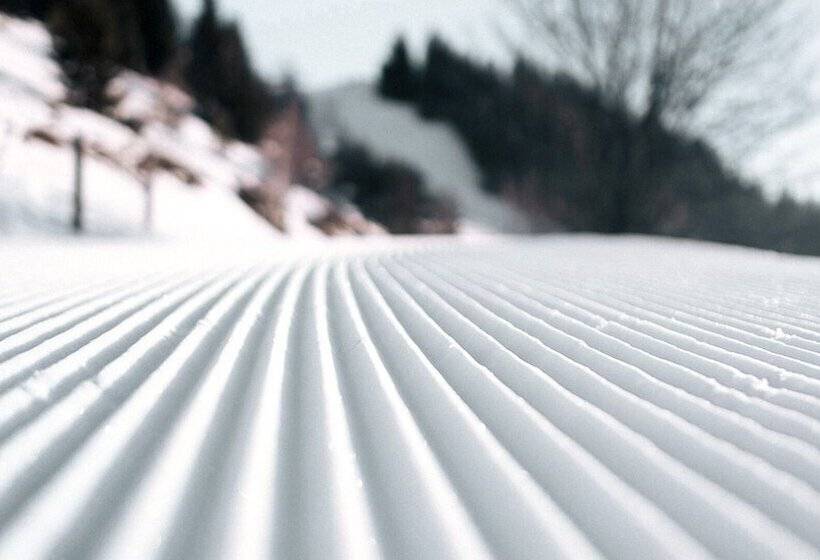 هتل Copper Horse Lodge