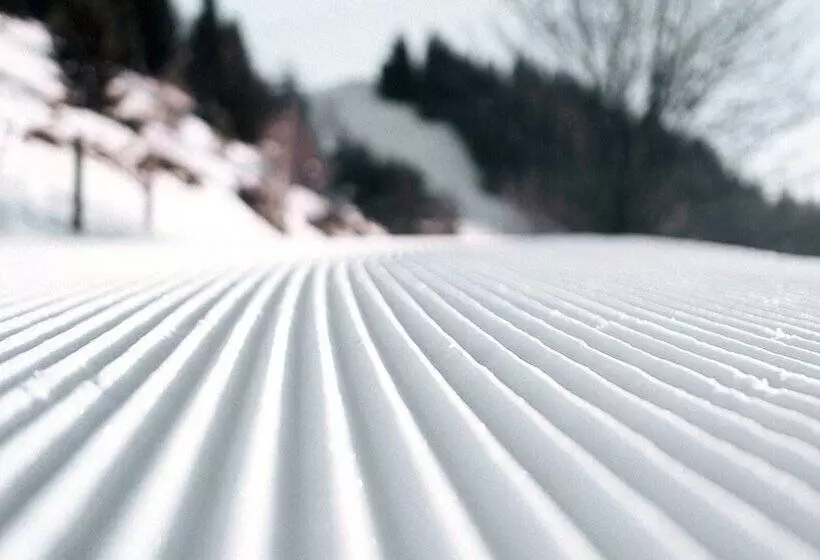 Отель Copper Horse Lodge