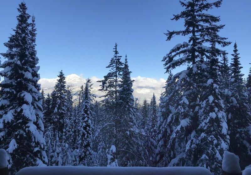 هتل Copper Horse Lodge