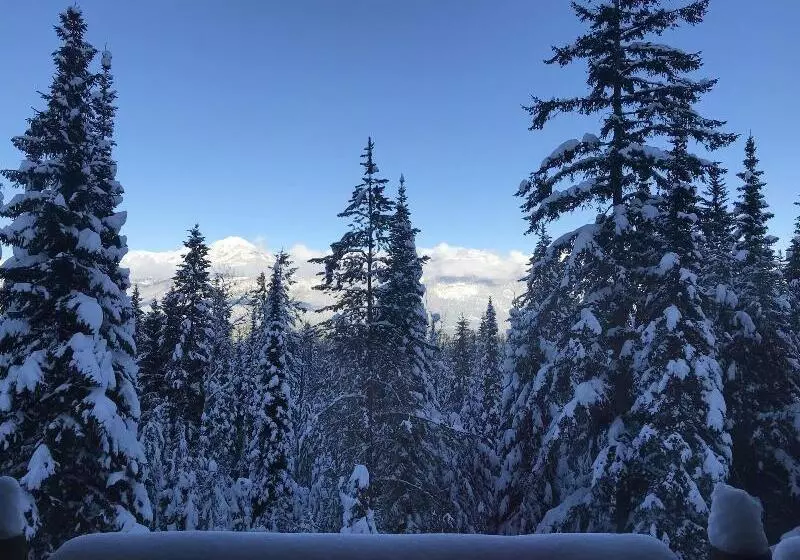 Отель Copper Horse Lodge