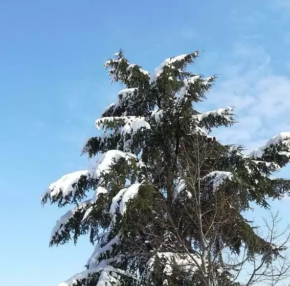 ホテル De La Ville