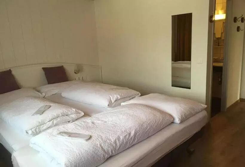 Отель Garni Rösslipost