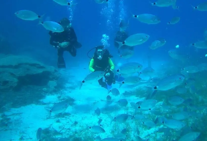 ホテル Malama Beach Holiday Village