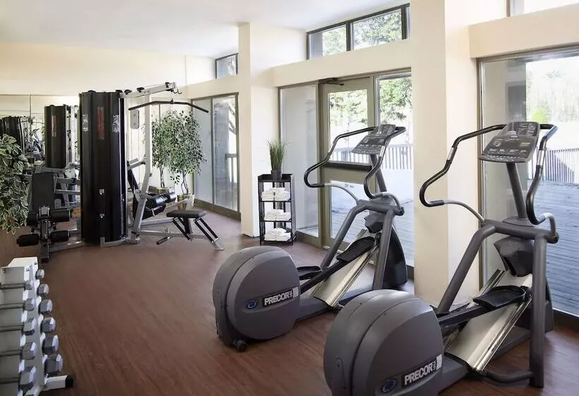 Hotelli Pinestone Resort & Conference Centre