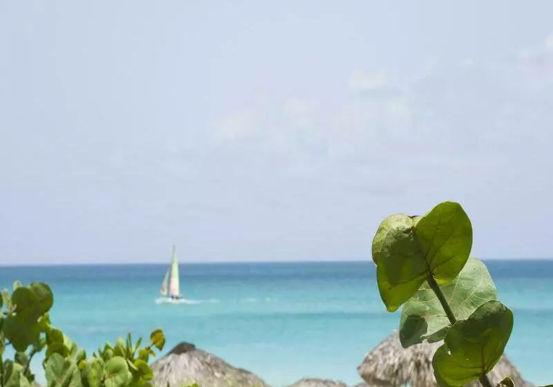 هتل Blau Varadero - Adults Only