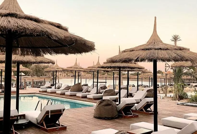 酒店 Cook’s Club El Gouna