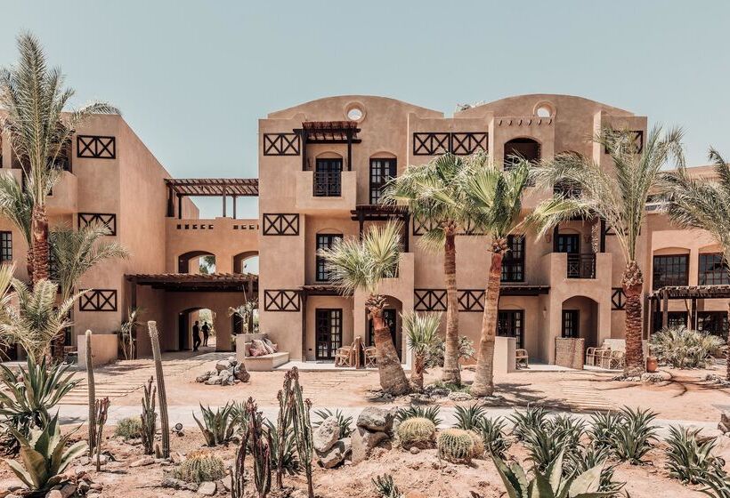 هتل Cook’s Club El Gouna