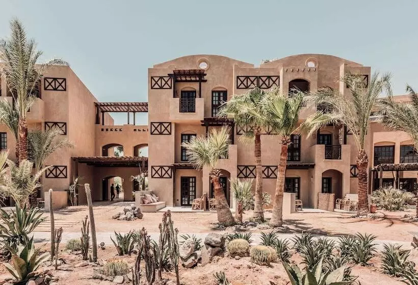 酒店 Cook’s Club El Gouna