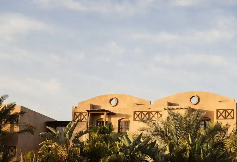 هتل Cook’s Club El Gouna - Adults Only