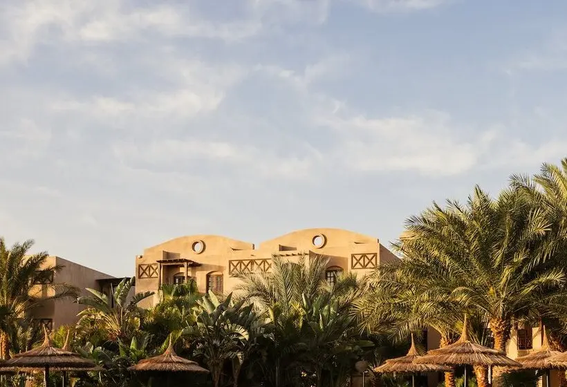 هتل Cook’s Club El Gouna - Adults Only