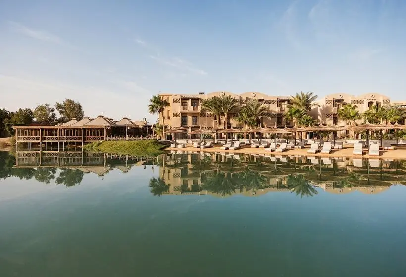 هتل Cook’s Club El Gouna - Adults Only