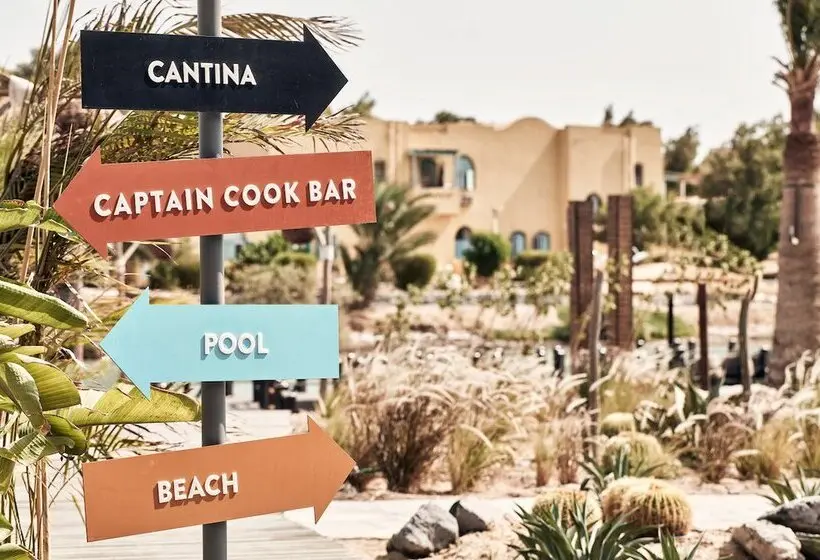هتل Cook’s Club El Gouna - Adults Only