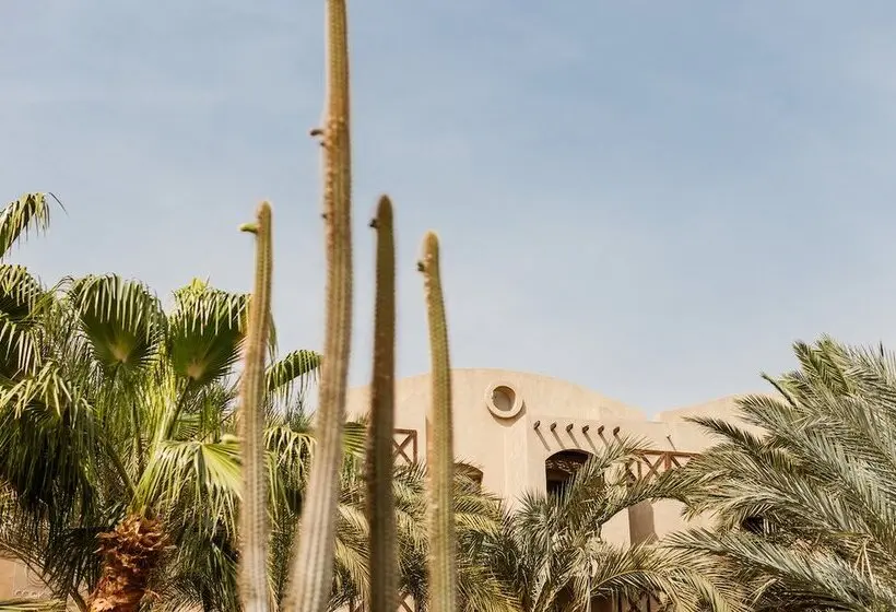 هتل Cook’s Club El Gouna - Adults Only