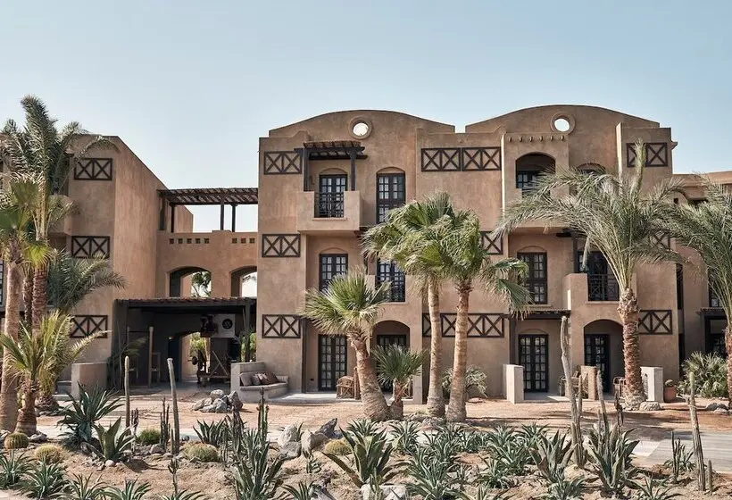 هتل Cook’s Club El Gouna - Adults Only