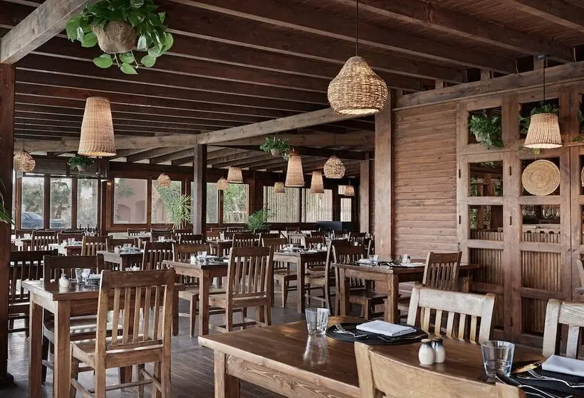 هتل Cook’s Club El Gouna - Adults Only