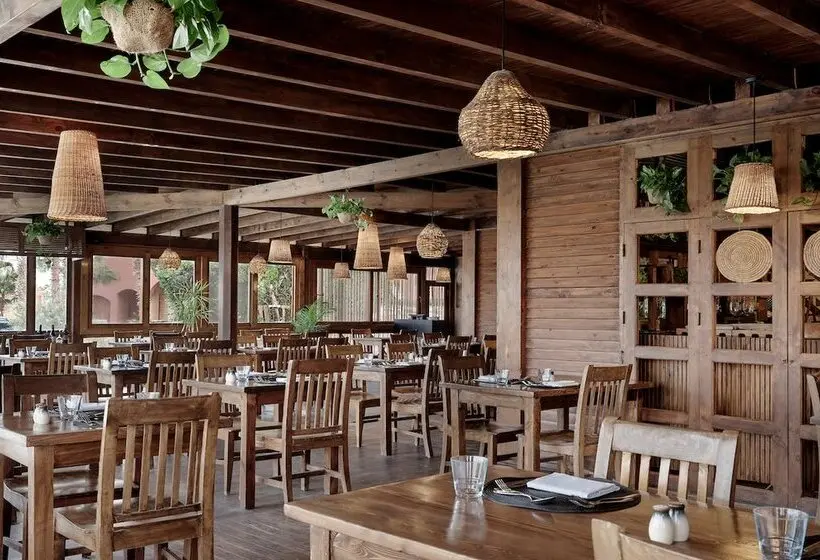 هتل Cook’s Club El Gouna - Adults Only