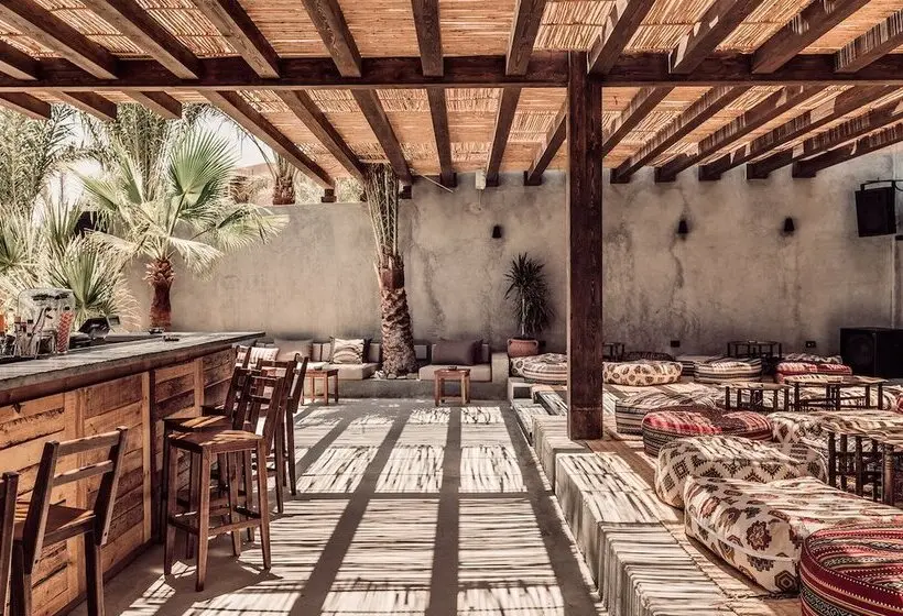 هتل Cook’s Club El Gouna - Adults Only