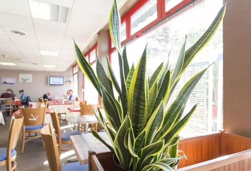 בית מלון כפרי Hôtel Les Gens De Mer Lorient By Popinns