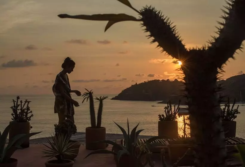 酒店 La Casa Que Canta