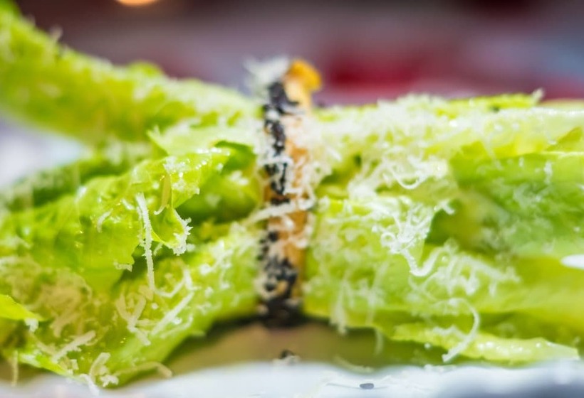 فندق La Casa Que Canta