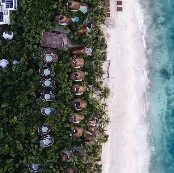 Hotel Papaya Playa Project