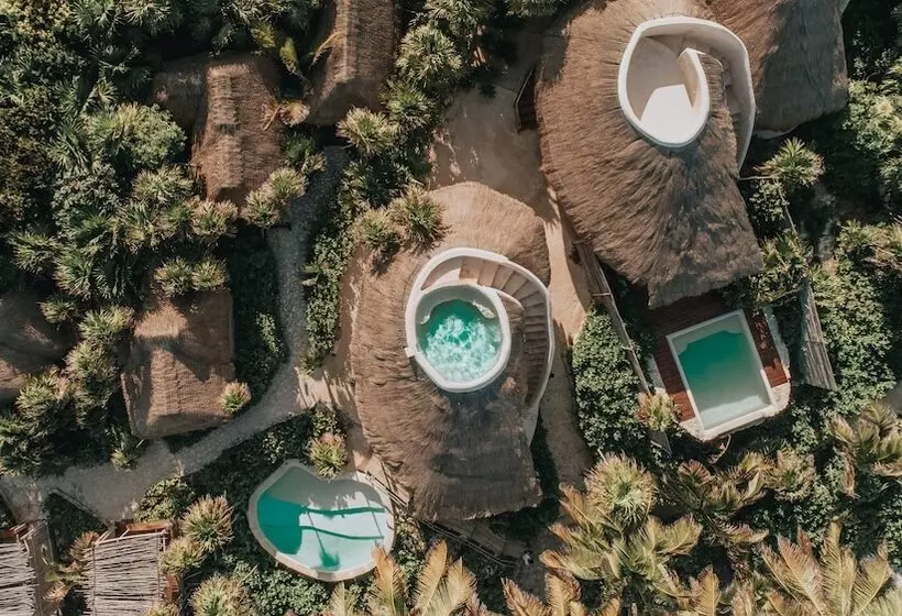 Hotel Papaya Playa Project