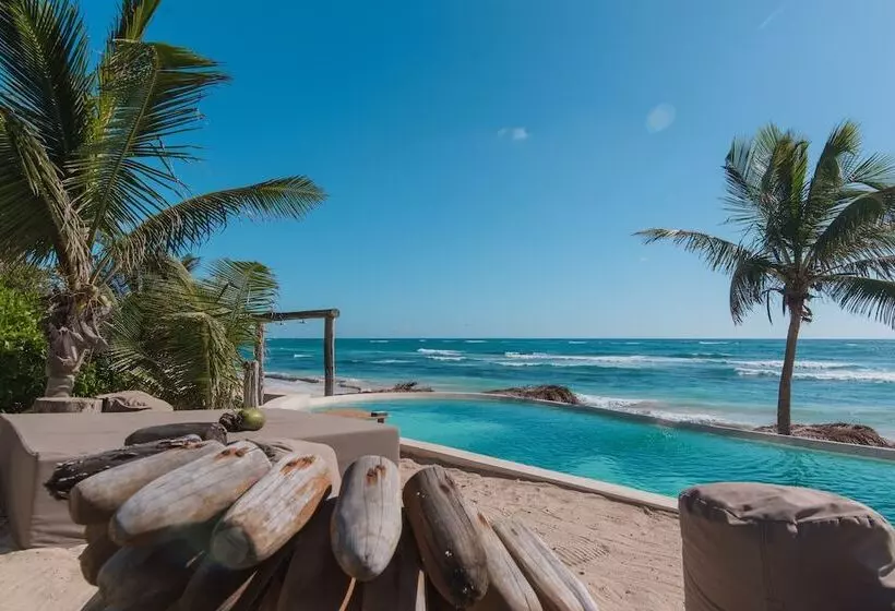 Hotel Papaya Playa Project