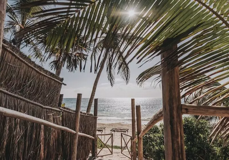 Hotel Papaya Playa Project