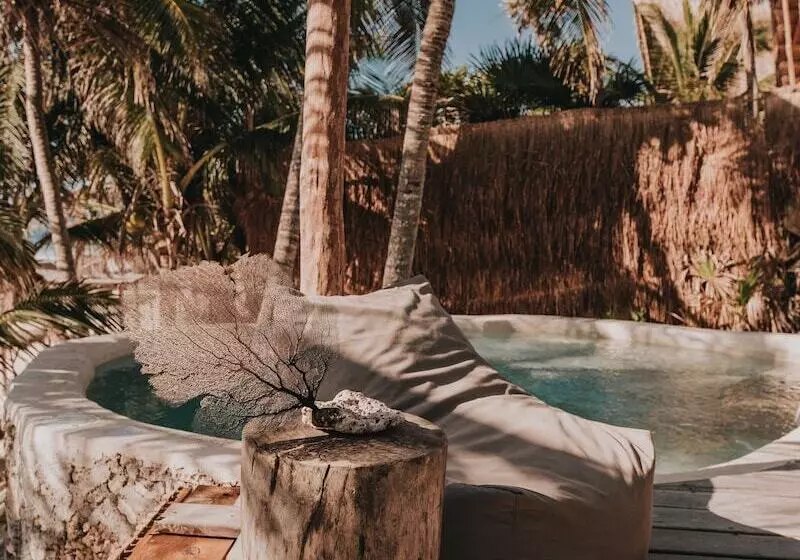 Hotel Papaya Playa Project