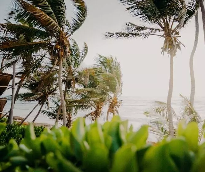 Hotel Papaya Playa Project