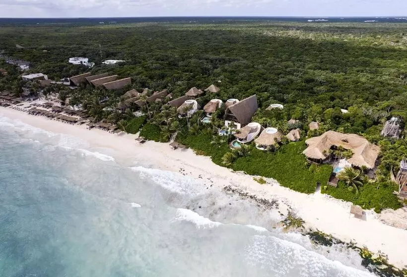 Hotel Papaya Playa Project