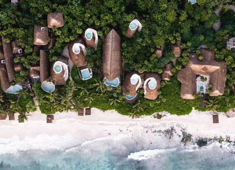 Hotel Papaya Playa Project