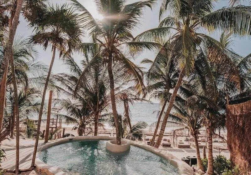 Hotel Papaya Playa Project