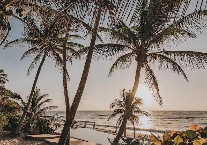 Hotel Papaya Playa Project