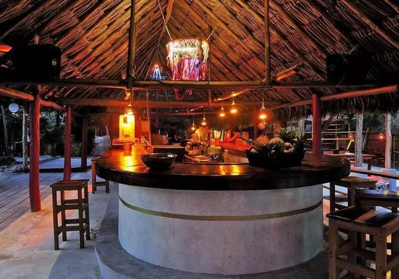 Hotel Papaya Playa Project