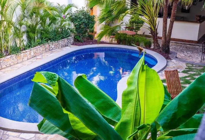 هتل Patio Del Malinche