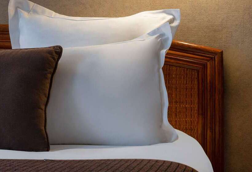 ホテル The Originals City, Hôtel Rive Droite, Albi Quartier Madeleine