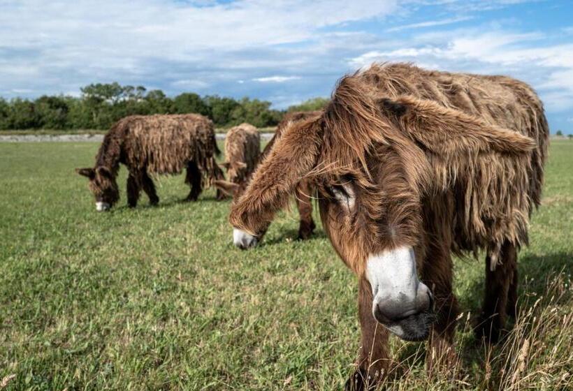 בית מלון כפרי Hôtel De Toiras