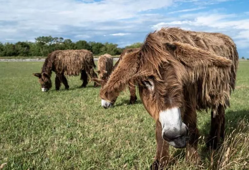 Hôtel Hôtel De Toiras