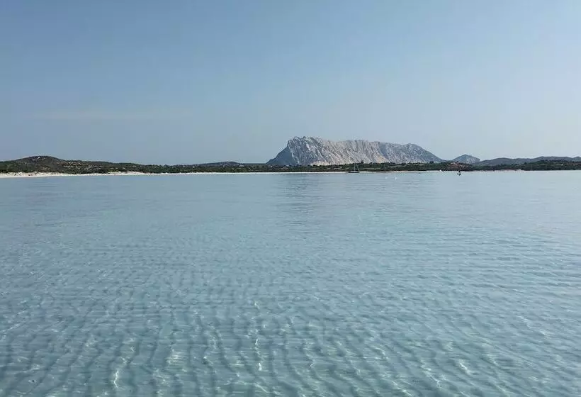 Отель Le Mimose