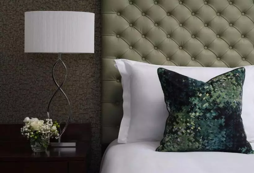 هتل Lyrath Estate