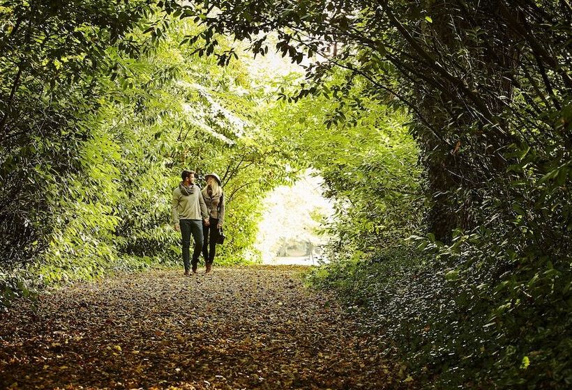 فندق Lyrath Estate