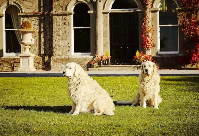 هتل Lyrath Estate