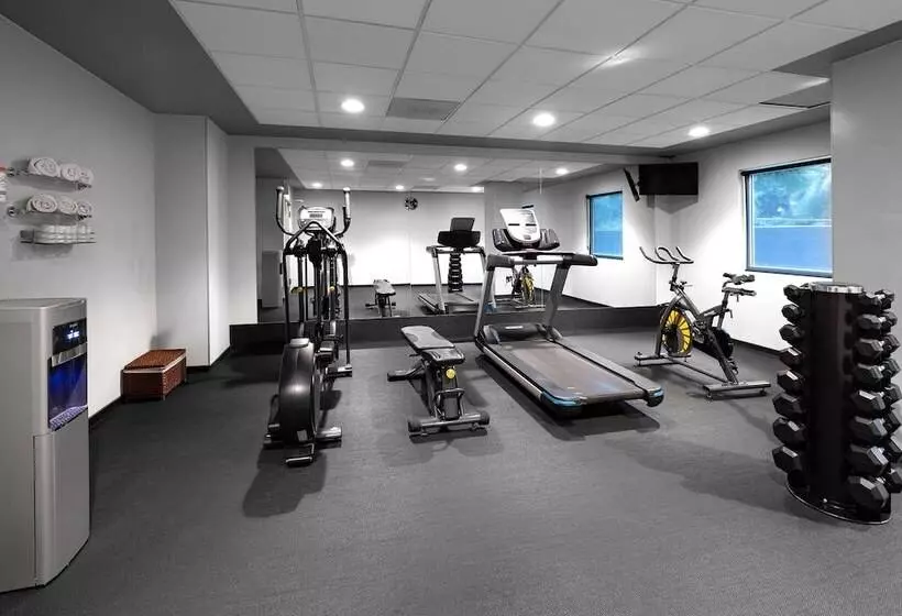 هتل City Express Plus By Marriott Guadalajara Expo